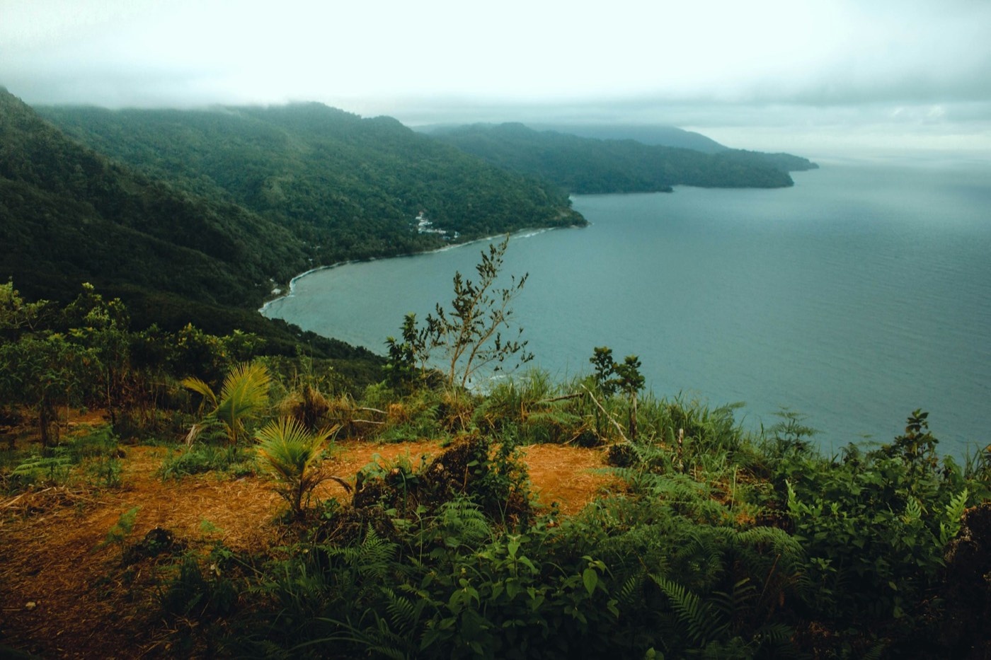 Lush Maluku coastline on Ambon Island